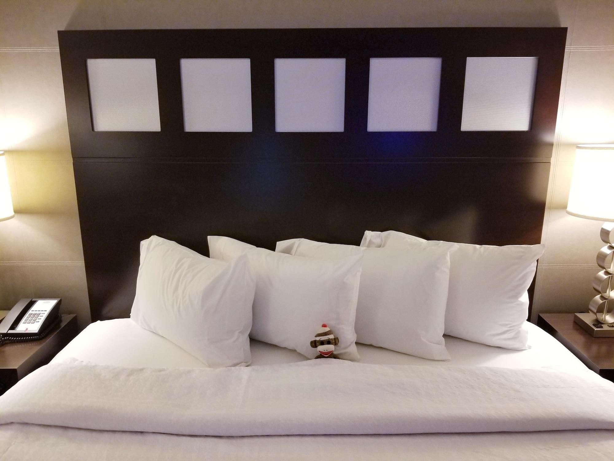 Hotel Hampton By Hilton Airport North
